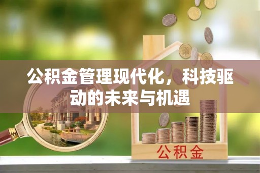 阿城公积金管理现代化，科技驱动的未来与机遇