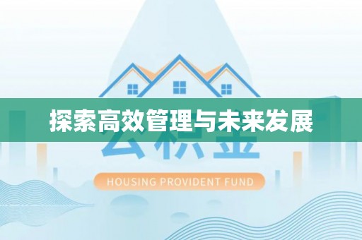 龟山探索高效管理与未来发展