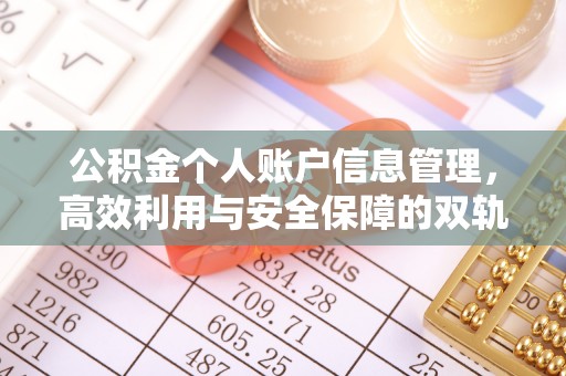 禄丰公积金个人账户信息管理，高效利用与安全保障的双轨并行
