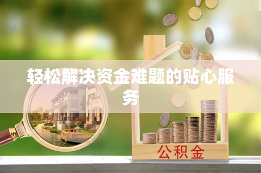 苑里轻松解决资金难题的贴心服务
