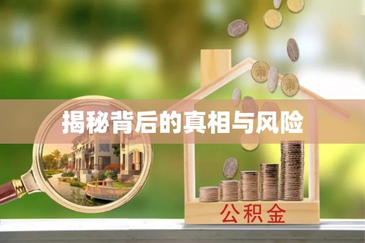 白银揭秘背后的真相与风险
