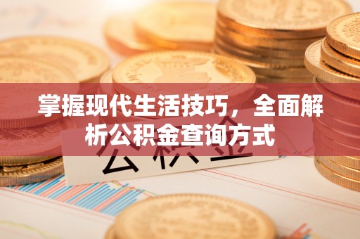 合山掌握现代生活技巧，全面解析公积金查询方式