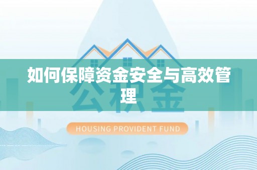 蓬安如何保障资金安全与高效管理