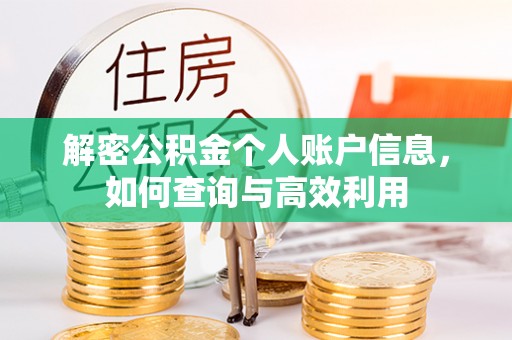 遂宁解密公积金个人账户信息，如何查询与高效利用