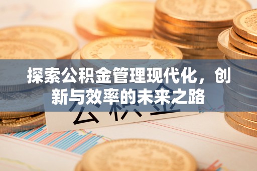 肃南探索公积金管理现代化，创新与效率的未来之路