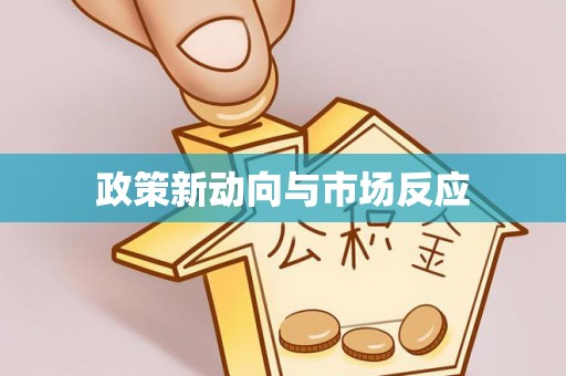 新邵政策新动向与市场反应