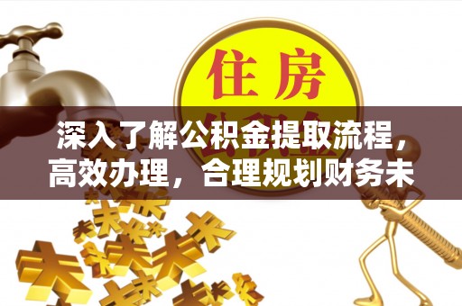 博湖深入了解公积金提取流程，高效办理，合理规划财务未来