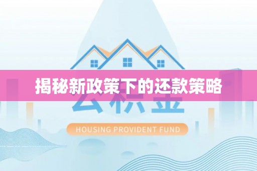 北仑揭秘新政策下的还款策略