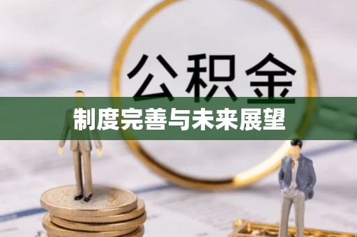 浦东制度完善与未来展望