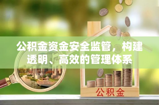 雄安新区公积金资金安全监管，构建透明、高效的管理体系