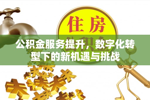 后龙公积金服务提升，数字化转型下的新机遇与挑战