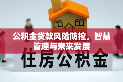 后龙公积金贷款风险防控，智慧管理与未来发展