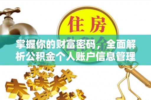 金坛掌握你的财富密码，全面解析公积金个人账户信息管理与优化