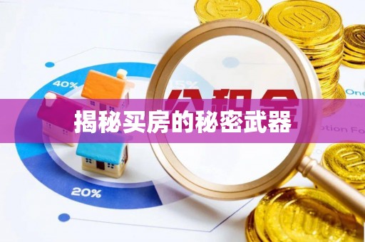 洪泽揭秘买房的秘密武器