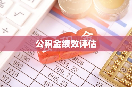 阜沙公积金绩效评估