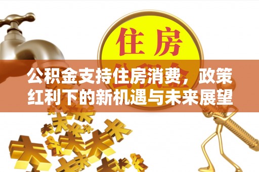 树林公积金支持住房消费，政策红利下的新机遇与未来展望