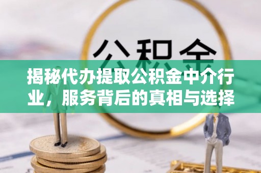 树林揭秘代办提取公积金中介行业，服务背后的真相与选择指南