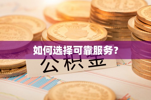 泾河如何选择可靠服务？