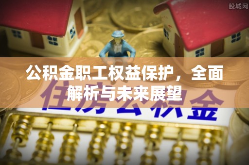 阜沙公积金职工权益保护，全面解析与未来展望