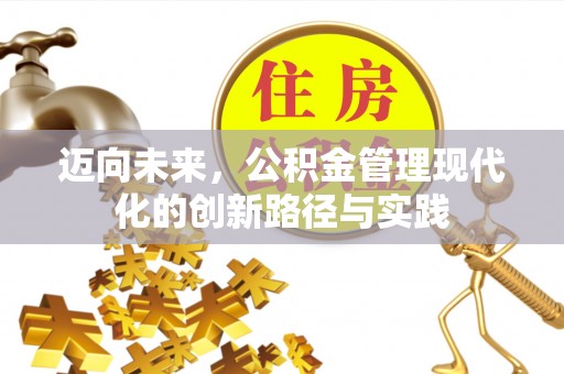 武陵迈向未来，公积金管理现代化的创新路径与实践