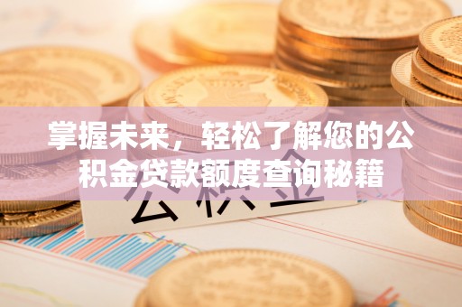 乐陵掌握未来，轻松了解您的公积金贷款额度查询秘籍