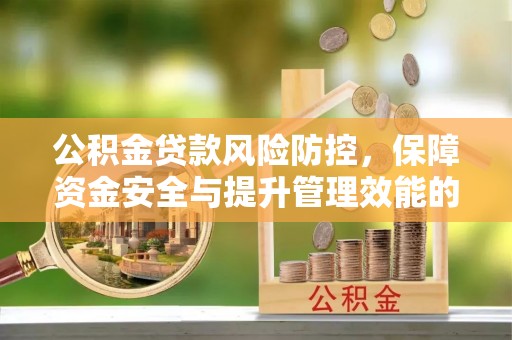 温宿公积金贷款风险防控，保障资金安全与提升管理效能的多维度探索