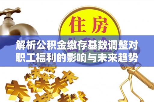 陵城解析公积金缴存基数调整对职工福利的影响与未来趋势