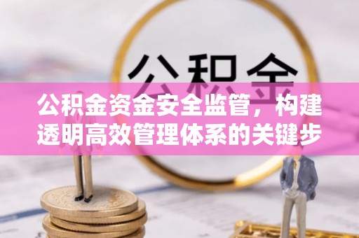 剑阁公积金资金安全监管，构建透明高效管理体系的关键步骤