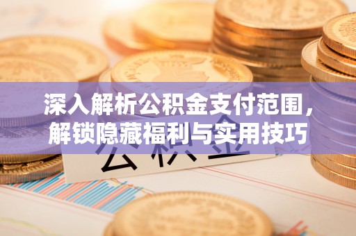 馆陶深入解析公积金支付范围，解锁隐藏福利与实用技巧