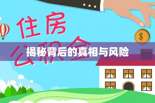 浦东揭秘背后的真相与风险