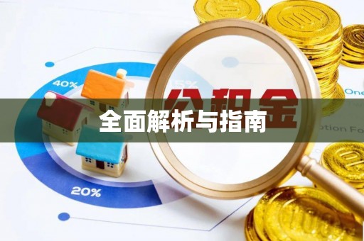 中站全面解析与指南