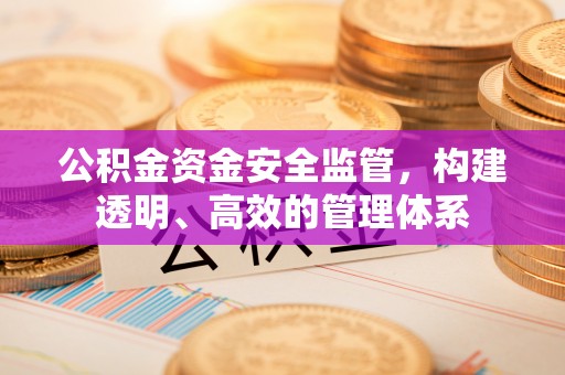 松原公积金资金安全监管，构建透明、高效的管理体系