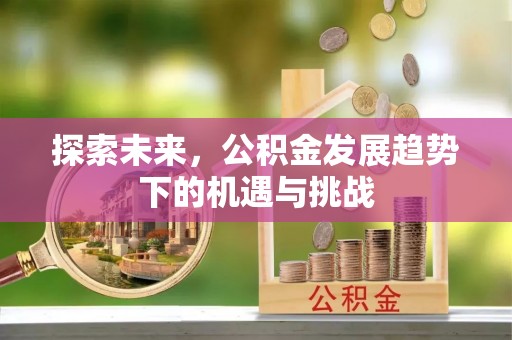 河南探索未来，公积金发展趋势下的机遇与挑战