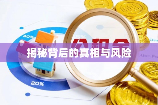 雨城揭秘背后的真相与风险