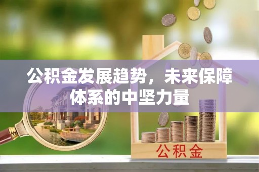 剑阁公积金发展趋势，未来保障体系的中坚力量