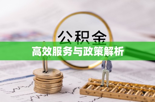 上思高效服务与政策解析