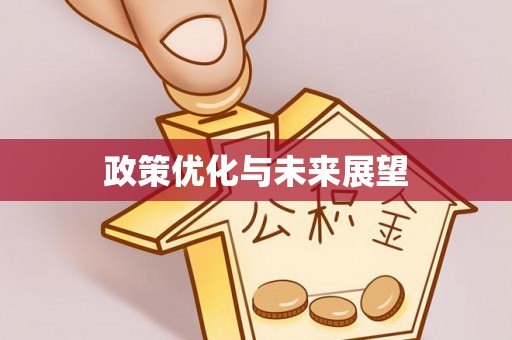绥中政策优化与未来展望