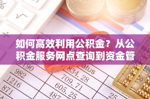 博野如何高效利用公积金？从公积金服务网点查询到资金管理全攻略