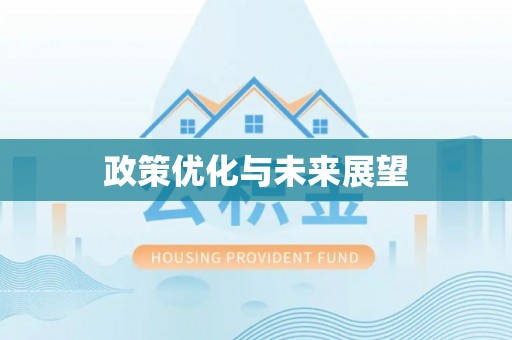 砀山政策优化与未来展望