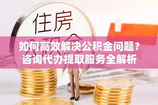 海勃湾如何高效解决公积金问题？咨询代办提取服务全解析