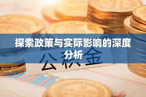 南岸探索政策与实际影响的深度分析