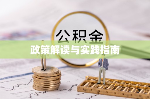 南岸政策解读与实践指南