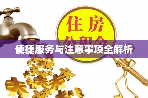 思南便捷服务与注意事项全解析