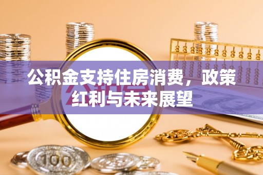 龙岩公积金支持住房消费，政策红利与未来展望