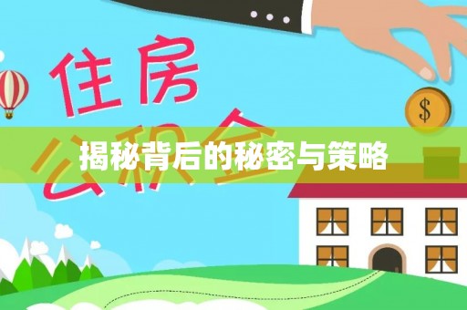 辰溪揭秘背后的秘密与策略