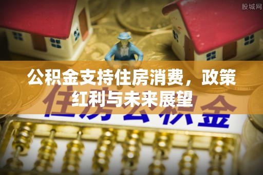 六安公积金支持住房消费，政策红利与未来展望