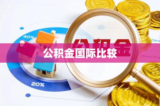 合浦公积金国际比较