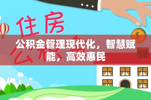 大湖公积金管理现代化，智慧赋能，高效惠民