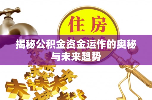陆河揭秘公积金资金运作的奥秘与未来趋势