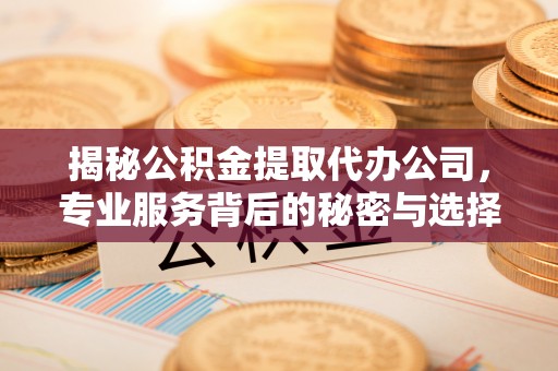 湖南揭秘公积金提取代办公司，专业服务背后的秘密与选择指南